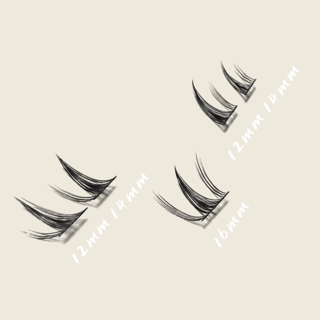 Sunlit Kiss Cluster Lashes