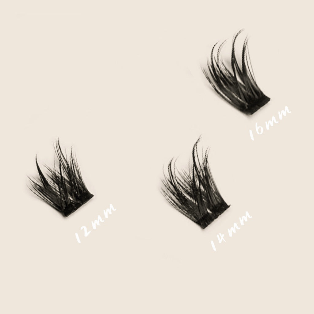 Midnight Queen Cluster Lashes